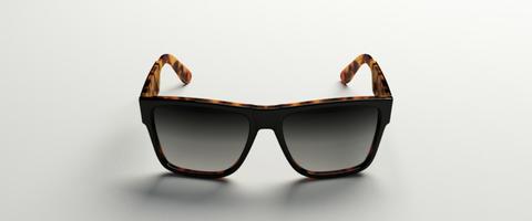 Carver Sunglasses- Ellison Eyewear